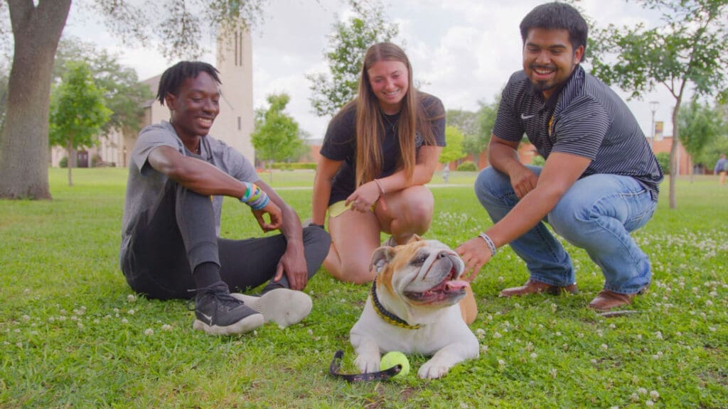 three students playing with Talulah
