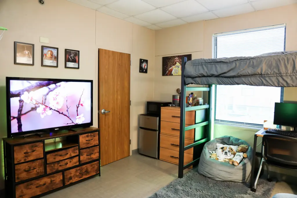 Baldus Room 2