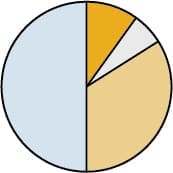 A pie chart showing student ethnicity breakdowns